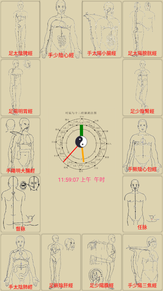 中医经络穴位流注2.4