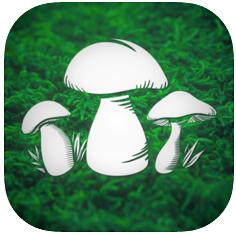 蘑菇猎人v1.2