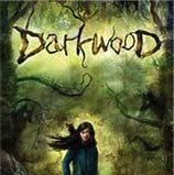 陰暗森林Darkwood修改器