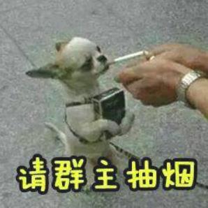 调戏群主表情包高清版