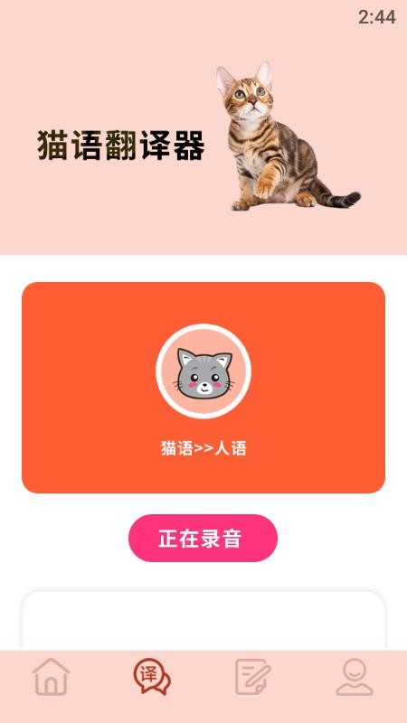 摸摸小猫1.3