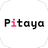 Pitaya(智能文学写作工具)