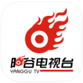 阳谷融媒appv0.1.9