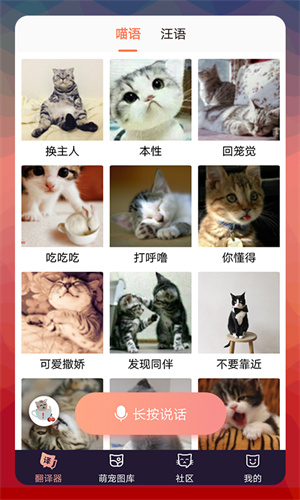 猫狗语翻译器 v1.0