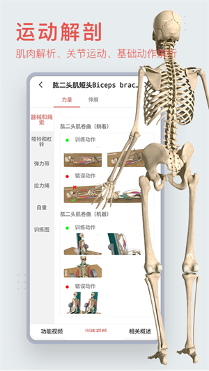 运动功能解剖教学系统app1.0.1