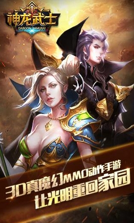 神龙武士九游版图片