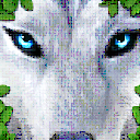 终极野狼模拟器手游(动物模拟) v1.4.10 安卓版