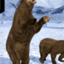熊复仇3D手游(让整个森林在你巨大的身影下颤抖吧) v1.1 安卓版