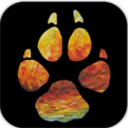 狼之逐星Android版(Sky Wolf Premium) v1.3 免费版