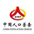 2020年第七次人口普查v3.4.31