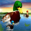 虚拟鸭子模拟器3Dv1.4