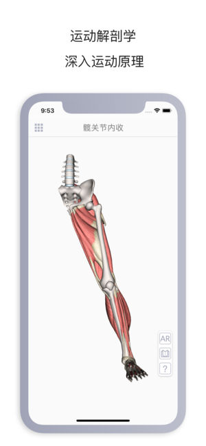 运动解剖v1.5