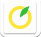 柚子单词安卓版app(日语学习软件) v1.1.31 免费版