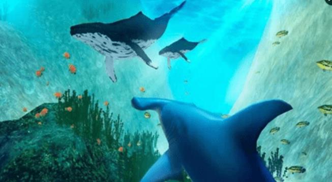 锤头鲨模拟3D手机版图片