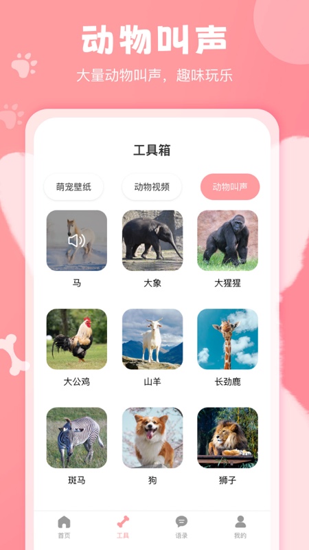 猫狗语翻译器appv1.1