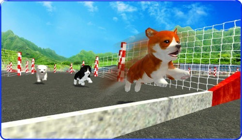 小狗跑酷比赛模拟器v1.2
