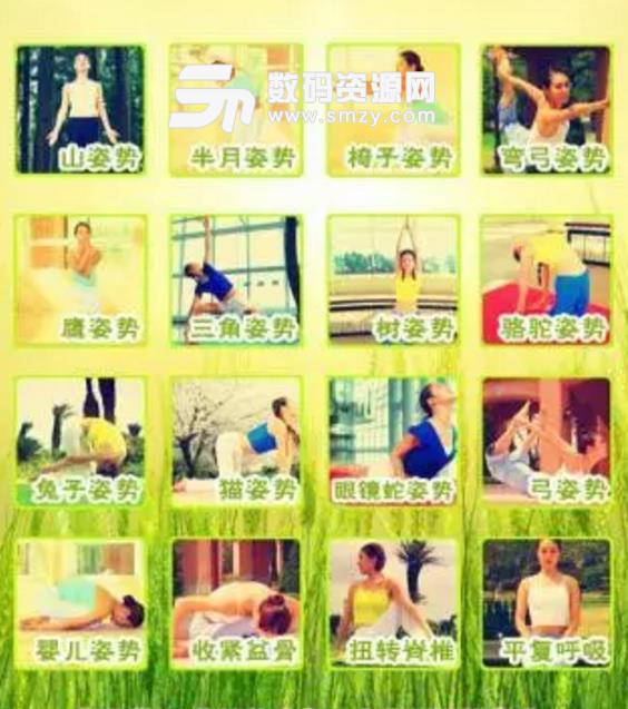 瑜伽七日减肥操安卓免费版截图