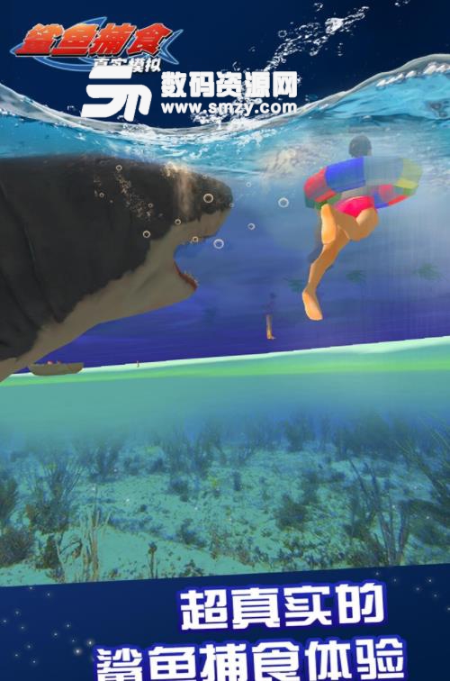 真实模拟鲨鱼捕食手游安卓最新版