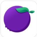 蓝莓Radio安卓app(直播电台社交) v1.1 手机版