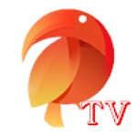 鹦鹉云直播tv安卓版(影音播放) v1.4.0 免费版