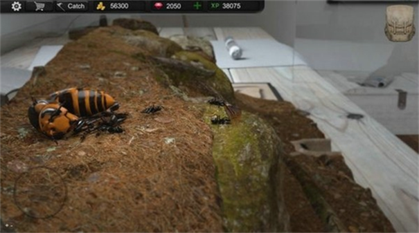 蚂蚁模拟大亨游戏v2.7