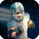 明星橄榄球联赛安卓版(3D街机体育游戏) v1.0 手机版