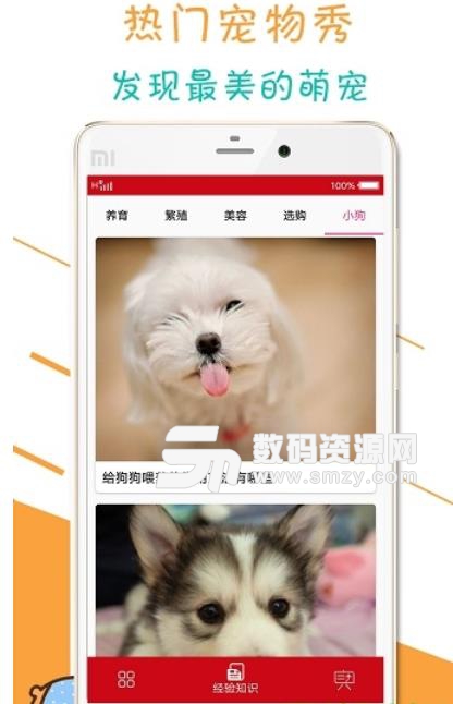 宠物狗狗百科安卓版截图