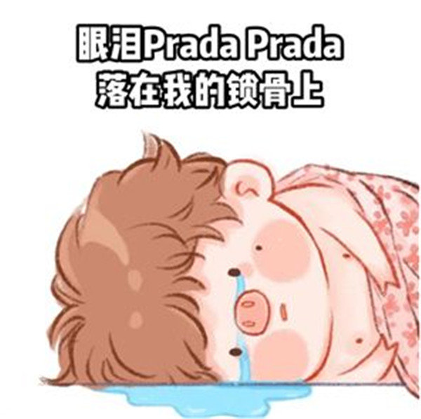 Prada的眼泪PradaPrada地掉表情包v1.3