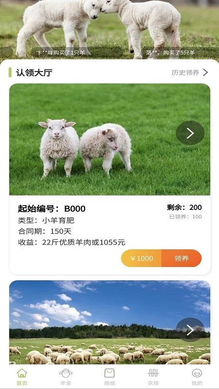 养羊得益app2.1.3