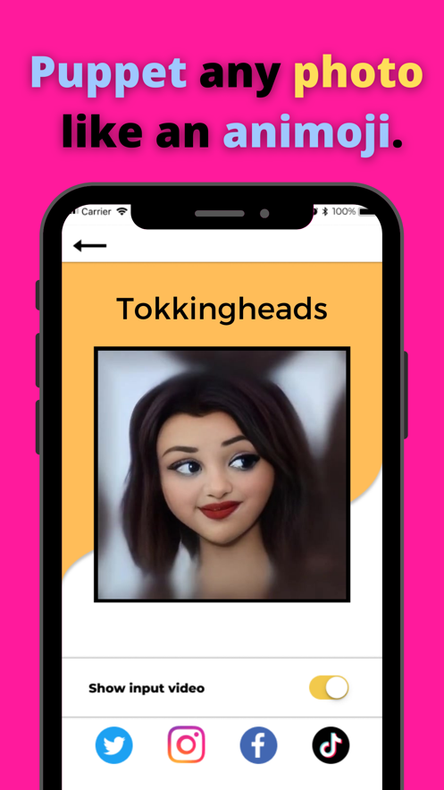 TokkingHeads Portrait Video软件v1.4.15