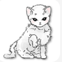 猫和纸箱安卓版(休闲放置手游) v1.1.0 手机版