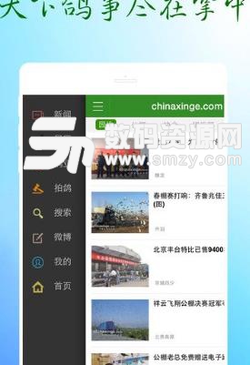 中国信鸽信息网安卓版