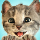 Little Kitten游戏(给你的孩子带来无限的欢乐) v1.11 安卓最新版