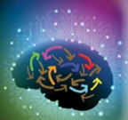 反转智慧大脑最新版(休闲益智类手游) v2.2 官方安卓版