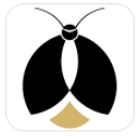 赢火虫app(法律推广) v6.3.2 安卓版