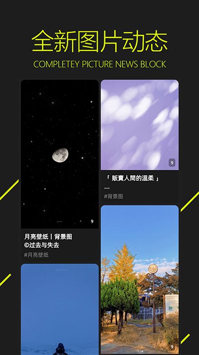 圖淩壁紙appv2.9.9.1