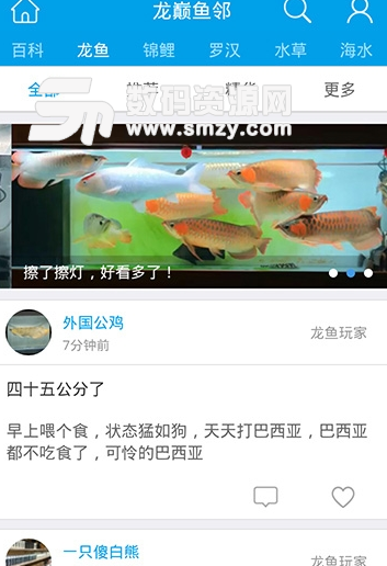 观赏鱼社区安卓版图片