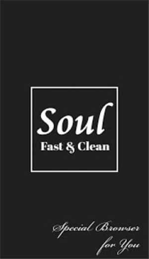 soul browser浏览器纯净版v1.2.96