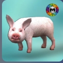 小猪模拟器最新安卓版(体验当一头猪的生活) v1.01 官方版