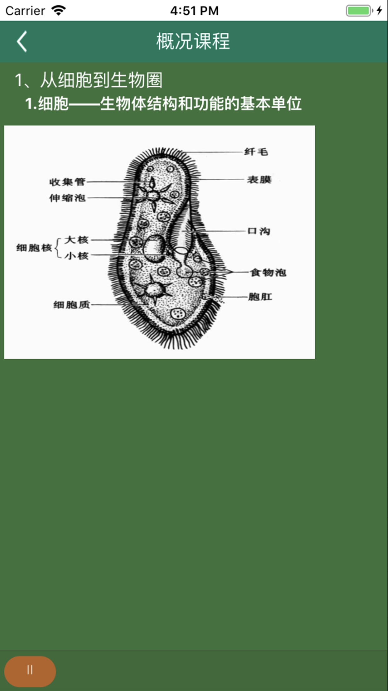 松鼠高中生物appv2.9.6