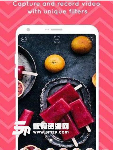 food stylist最新版