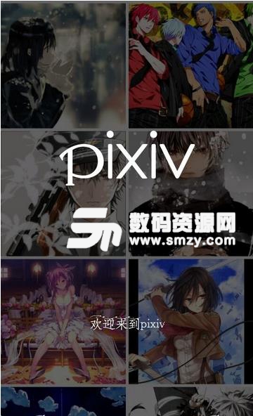 pixiv去广告版