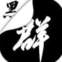 黑群app(社交群管理助手) v10.1 安卓版