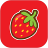 草莓聊天交友v1.6.20