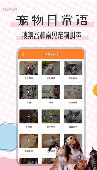 猫语翻译宝软件v1.2.4