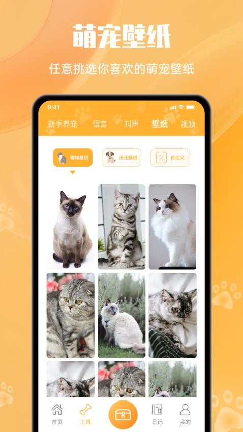 猫与翻译器1.0.0