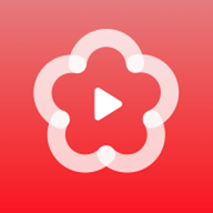 梅花视频播放器app1.2