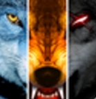 3D野狼模拟器最新版(生存类模拟手游) v1.5.2 安卓版