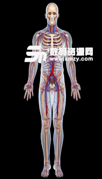 虚拟现实人体解剖app下载