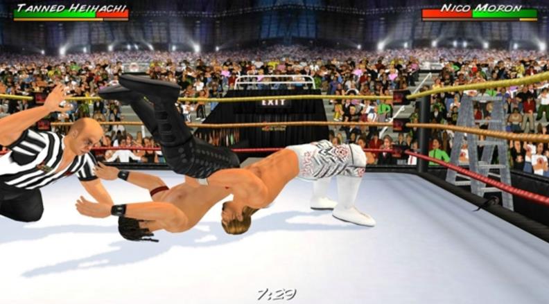 摔跤大赛3D手机正式版图片